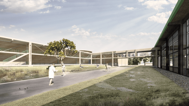 Das Elixier des Hirschen